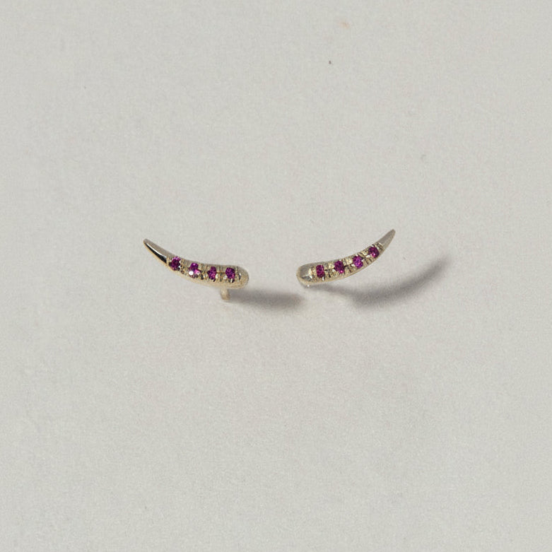 TIP TAILS EARRING - Ruby Star