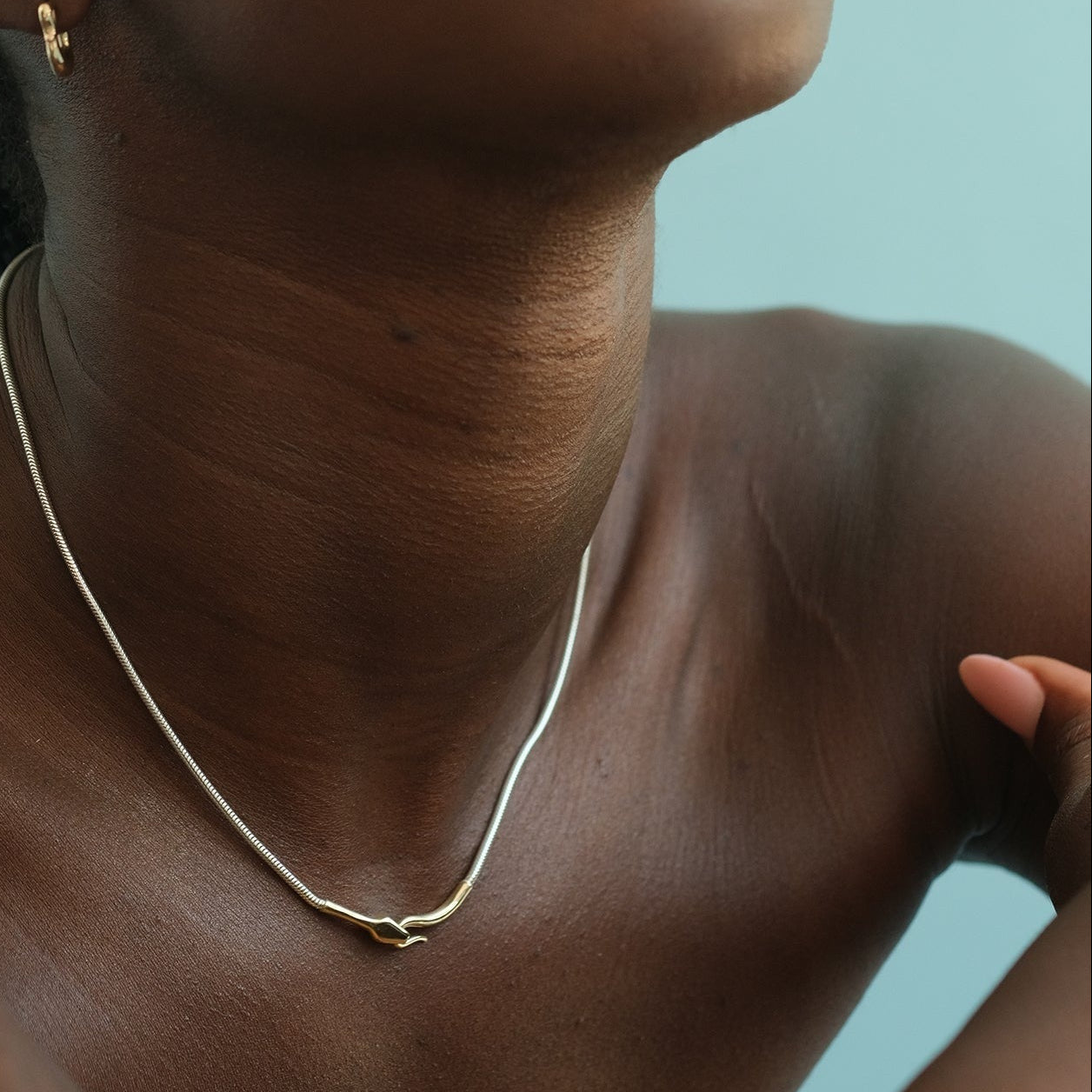 MIX METAL SNAKE NECKLACE - Ruby Star