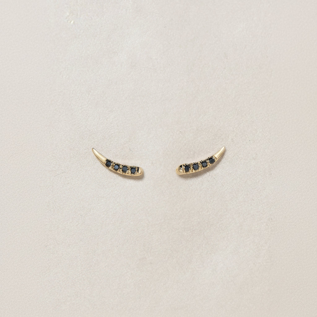 TIP TAILS EARRING - Ruby Star