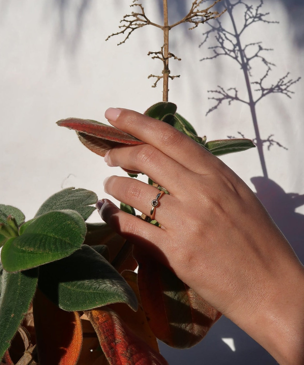 GOLD MEMENTO RING - Ruby Star