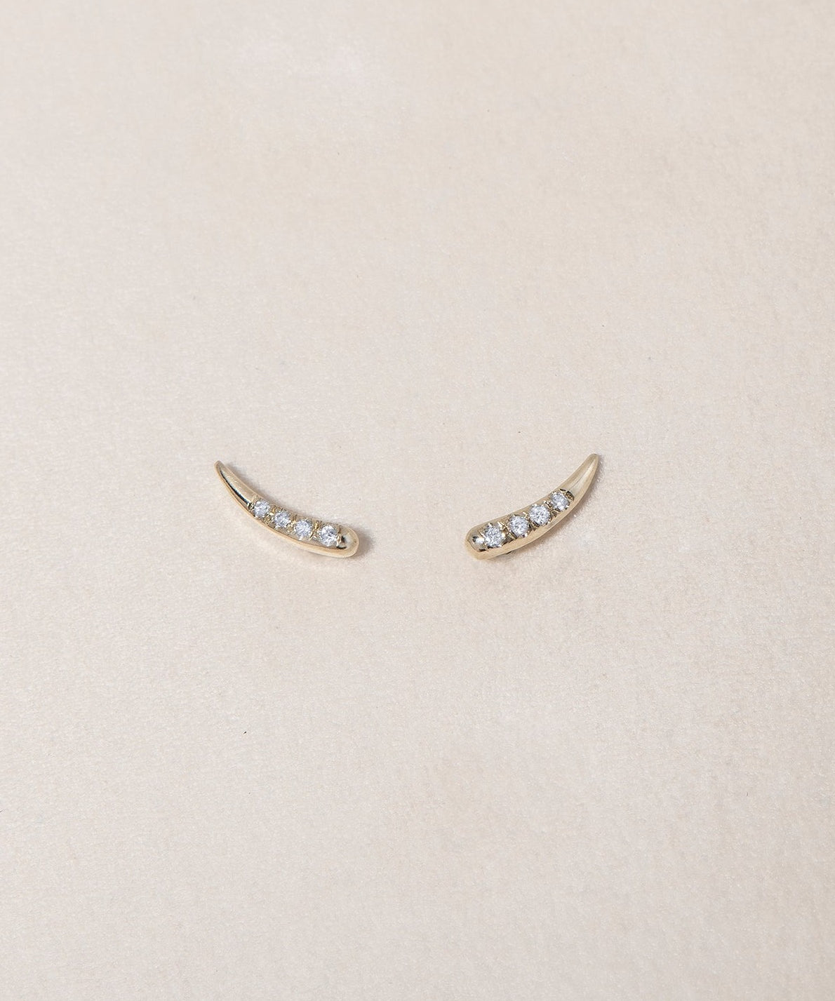 TIP TAILS EARRING - Ruby Star